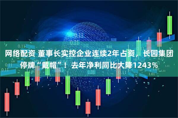 网络配资 董事长实控企业连续2年占资，长园集团停牌“戴帽”！去年净利同比大降1243%